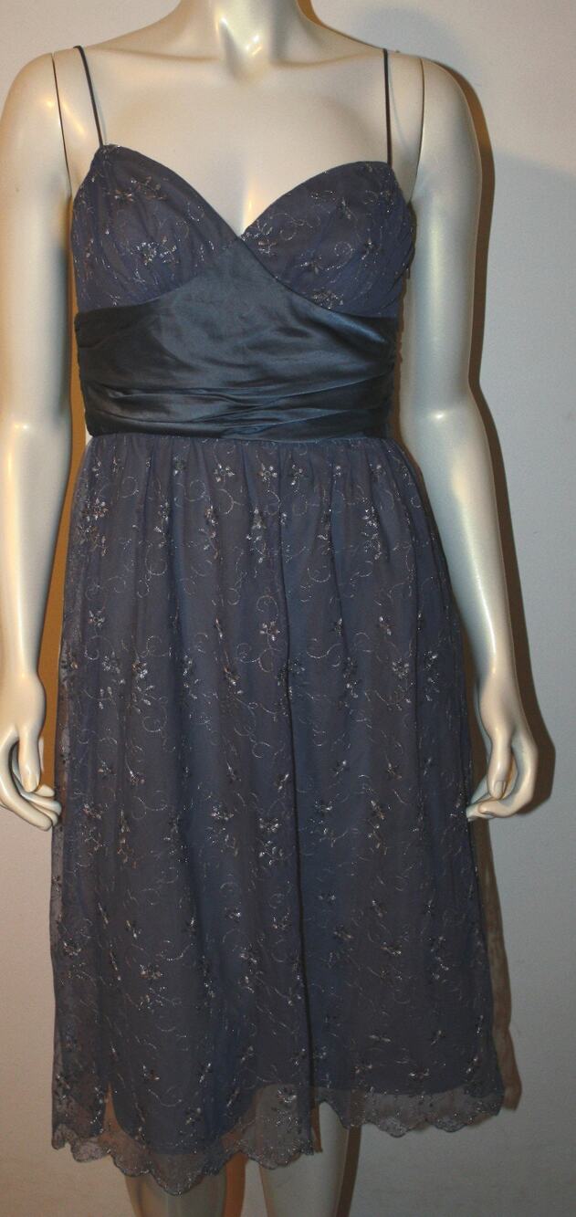 Betsey Johnson Slate Blue Lace Dress 6 Embroidered Floral Net Ballet